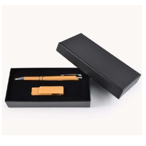 Bamboo Pen & USB Gift Set